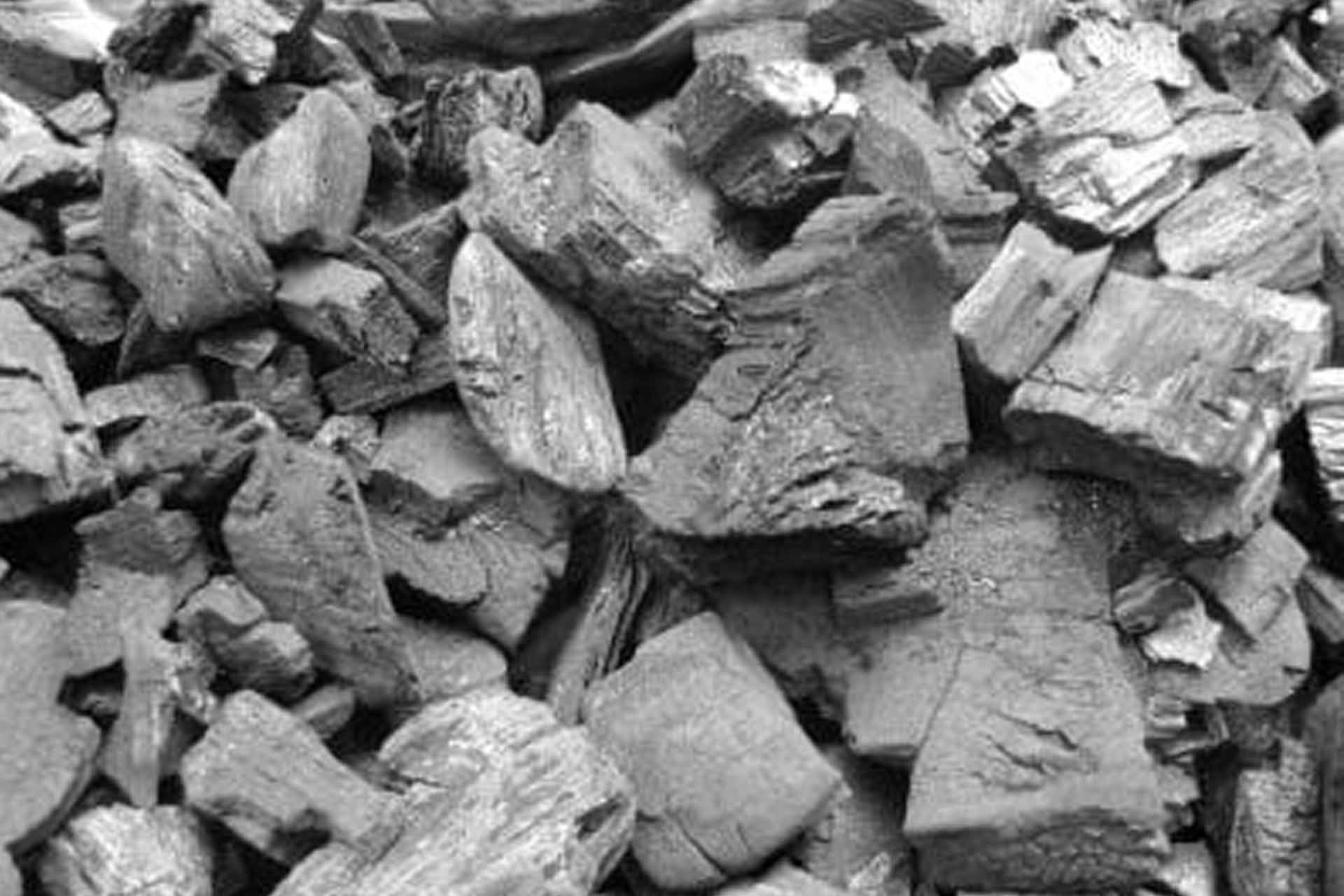 From Forest to Flame: The Journey of Pure Lump Charcoal